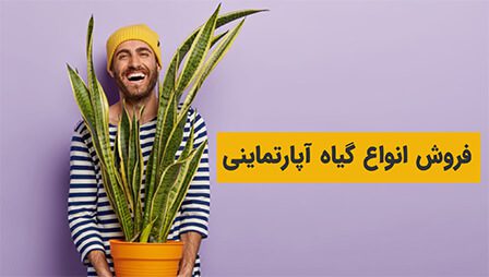 فروش گیاهان آپارتمانی فروش گیاهان آپارتمانی