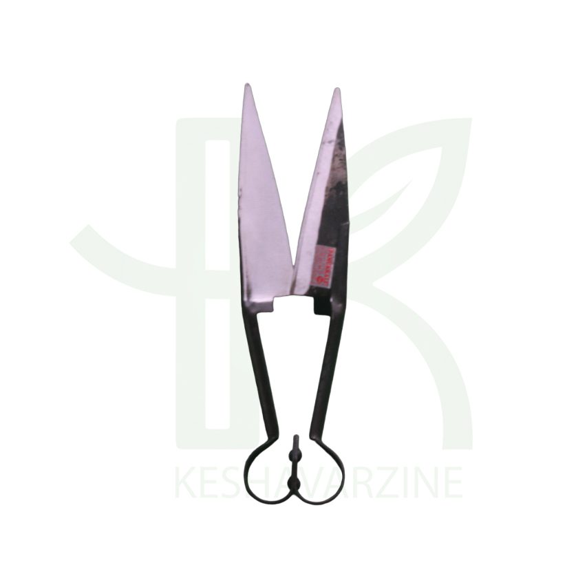 قیچی پشم زن یا قیچی حاشیه زن چمن